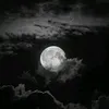 pshtewanzrare513