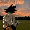 gokubst3