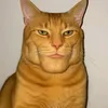 pekzeraofc