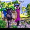 belayiti333.com