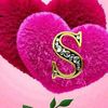 shopna9568