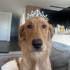 oakleythegolden18