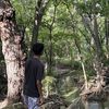 ftx.vinay