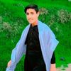 naveed.wafa.7