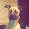 jxmaican_rxm_gxming1