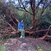 nancy.huarancca.h