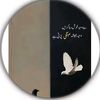 kingnaveed777