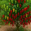 md.parves.khan871