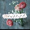 zehra.mimi