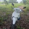 v.trang409