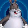 wheelofchungus