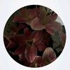 azerty_gh