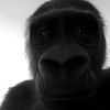 user152111176084