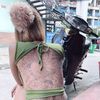 nvit235
