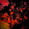 aalham_007