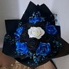 amra0236