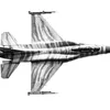 polishairforce0