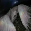 suza_770