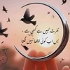 namrabaloch030