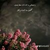 user8787051480448