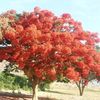 user7353181988886