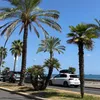 shl_766