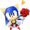 the_realsonic06