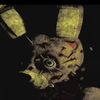 springbonnie333