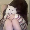 ireneqot2kj