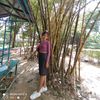 shwezin2822006