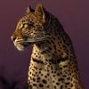 sultana_a_l