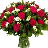 md.ruyal43