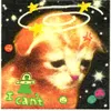 liil_mew