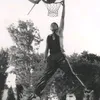 tntino33
