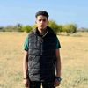 omer48676