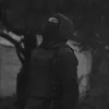 barzanii736