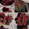 huda.mohammed64
