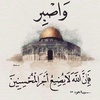 alimohammad2639