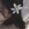 ros_ie13