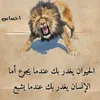 user79045278575690