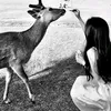 11_iouy