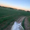 eqjess24