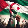 amir.sofiane4