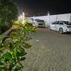 umahmedalaraji5