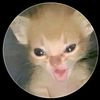 nose_1345660