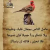 user9265686190817