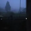 vikawok5