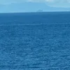 palomanpersempre