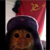 communist__catt