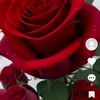 user2307887629123